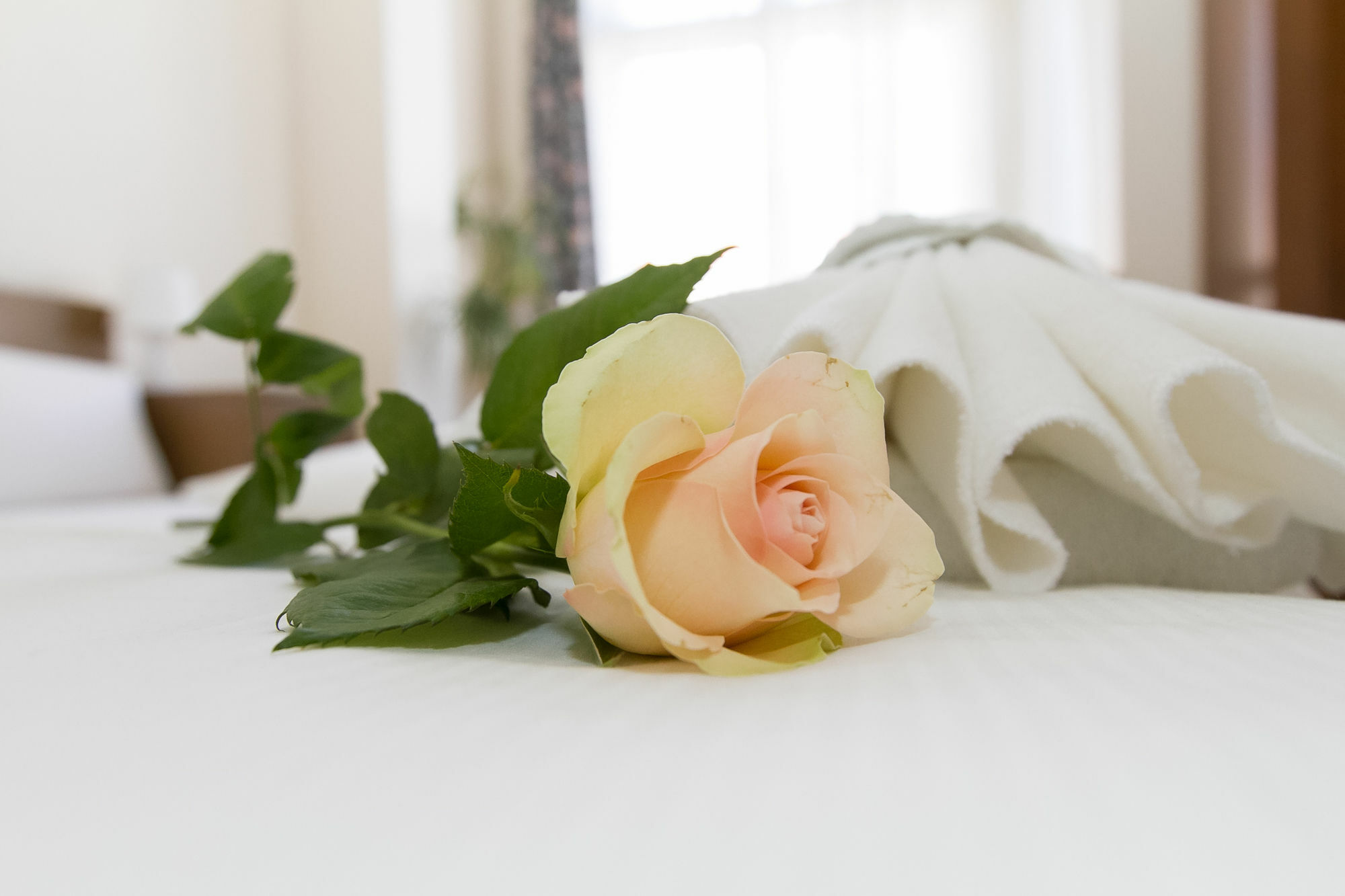 Hotel Spreewitz Am Kurfuerstendamm Berlin Zewnętrze zdjęcie